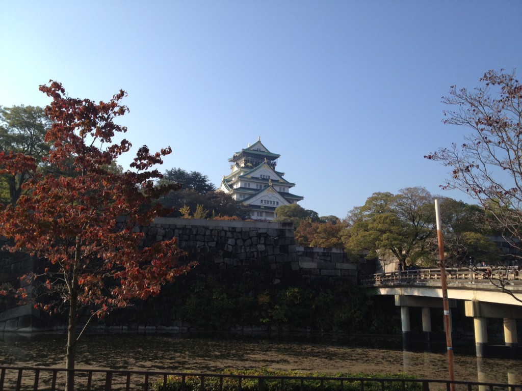 写真 (30)
