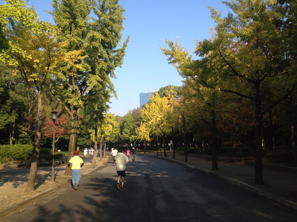 写真 (26)